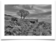 4. Wuthering 2 - Jim Dale 4. Wuthering 2 - Jim Dale